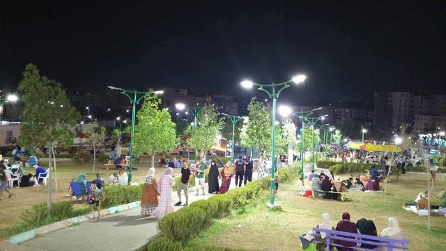 صور من نشاط المنظمة